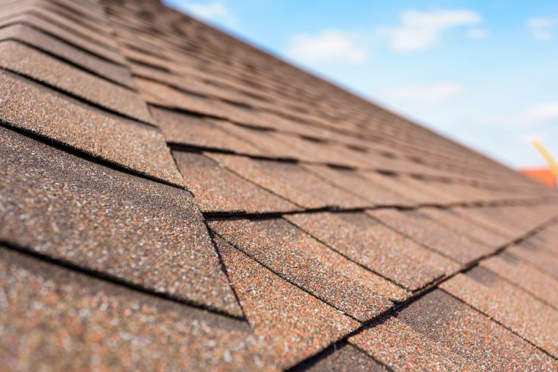 Roofing Service in Summer
